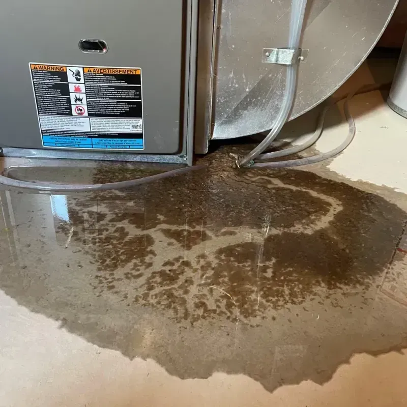 Appliance Leak Cleanup in Clay County, MS